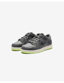 NIKE PS DUNK LOW SE - IRONGREY/ PHANTOM/ GHOSTGREEN Les êtres humains sont 