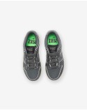 NIKE PS DUNK LOW SE - IRONGREY/ PHANTOM/ GHOSTGREEN Les êtres humains sont 