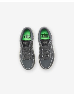 NIKE PS DUNK LOW SE - IRONGREY/ PHANTOM/ GHOSTGREEN Les êtres humains sont 