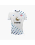 FC HANSA ROSTOCK 2023/24 AWAY JERSEY Venez découvrir notre 